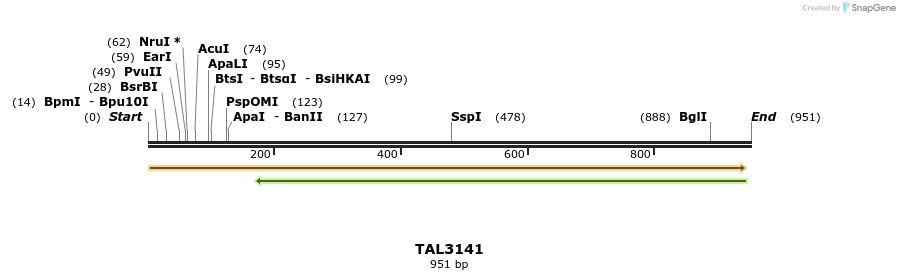 57119_map