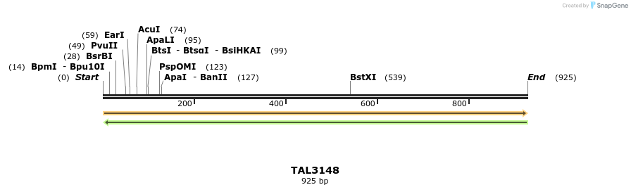 57120_map