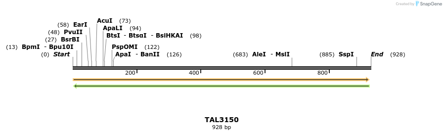 57122_map
