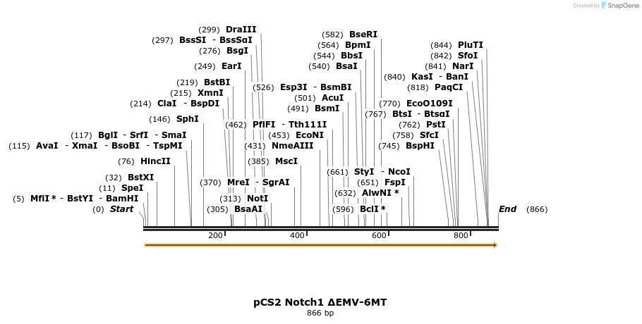 57127_map