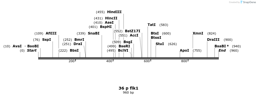 57132_map