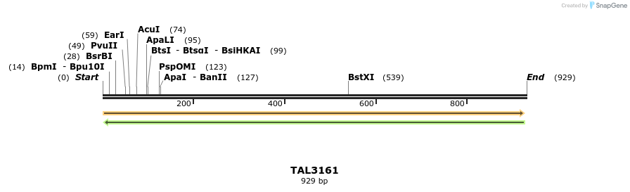 57135_map