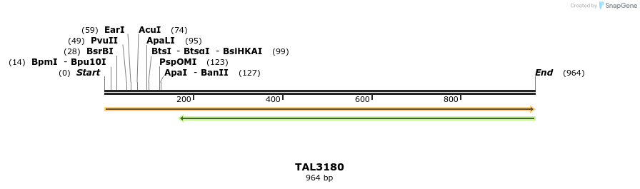 57136_map