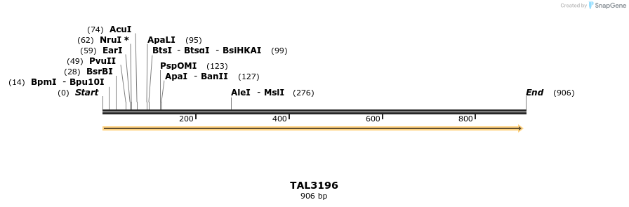 57137_map