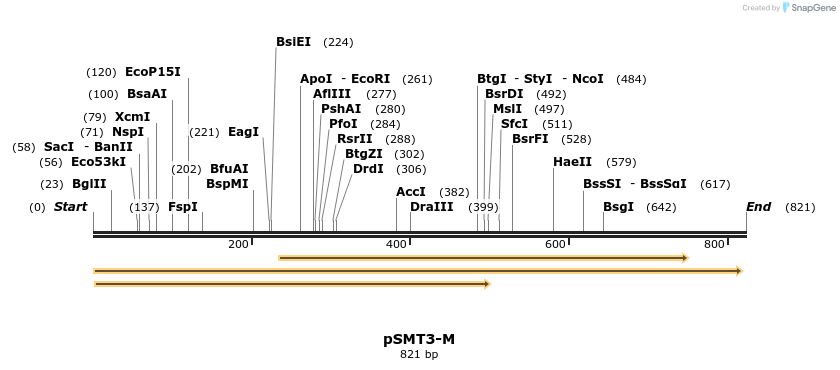 57138_map
