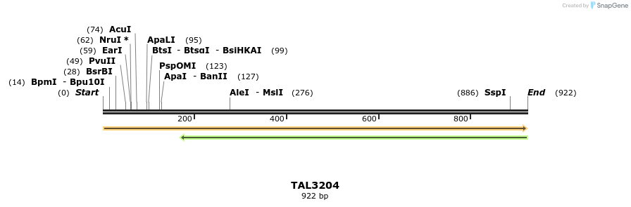 57139_map