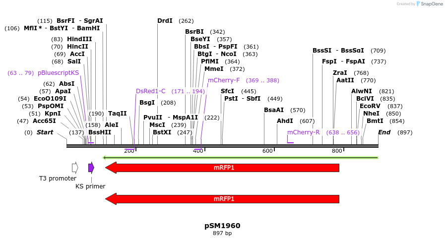 57141_map