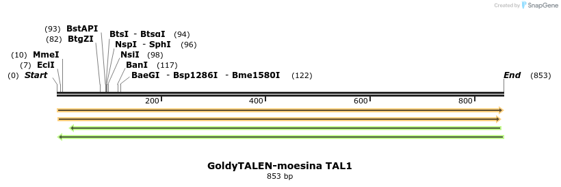 57144_map
