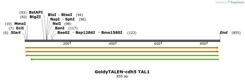 57146_map