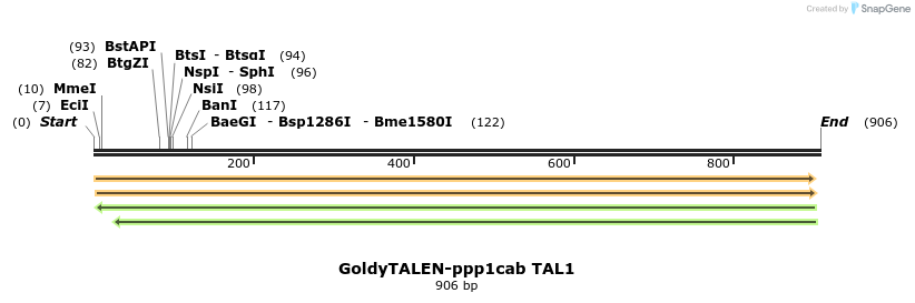 57148_map