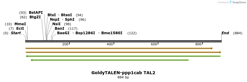 57149_map