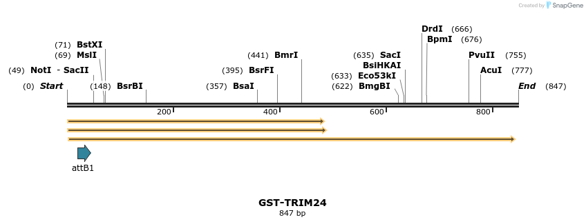 57150_map