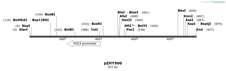 57157_map