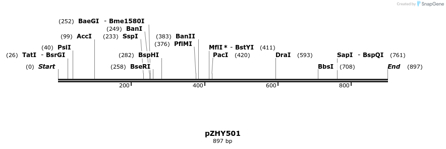 57159_map