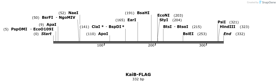 57168_map