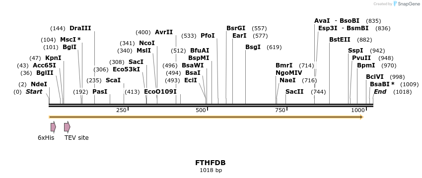 57172_map