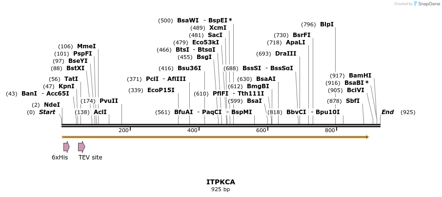 57173_map