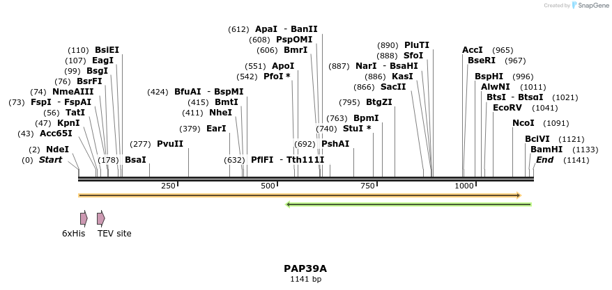 57175_map