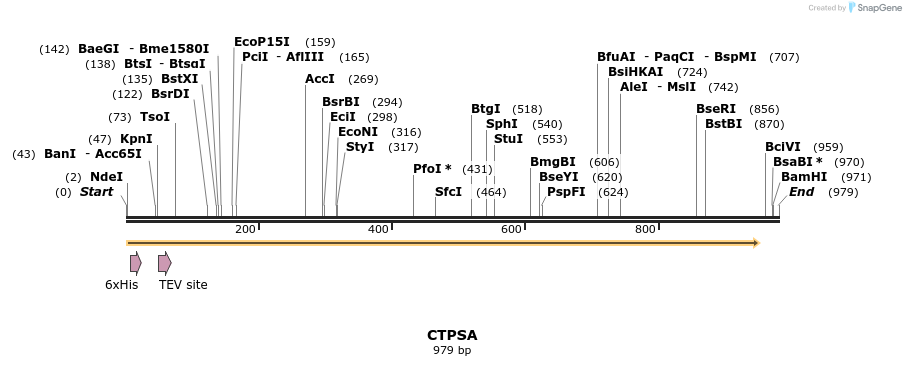 57176_map
