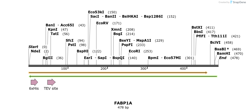 57177_map