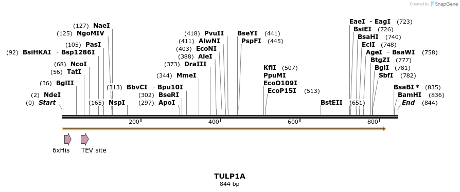 57179_map