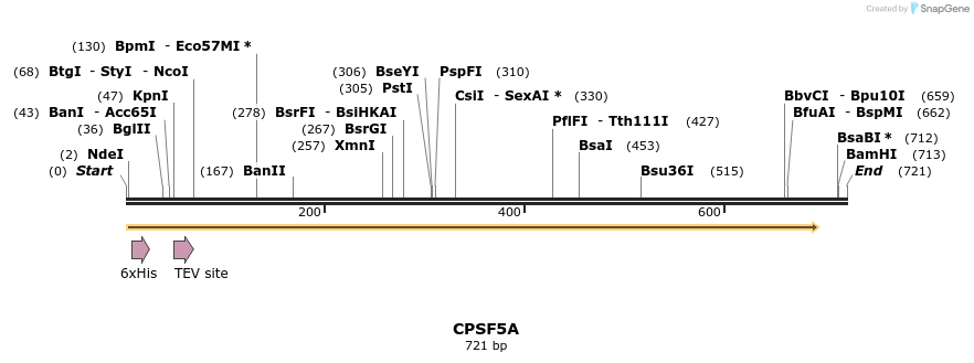 57186_map