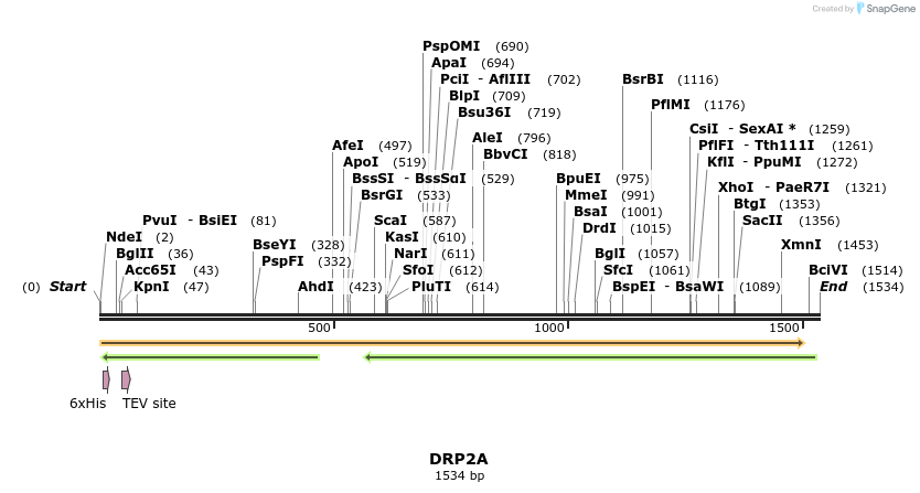 57187_map