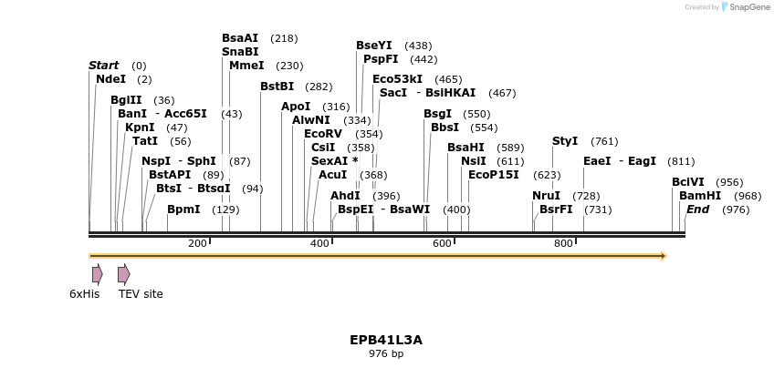 57190_map