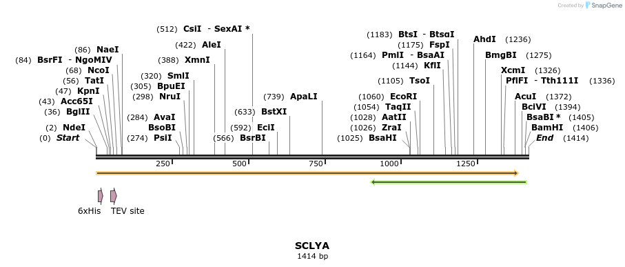57191_map