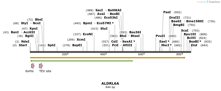 57196_map
