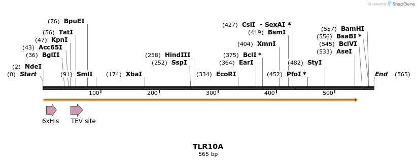 57197_map