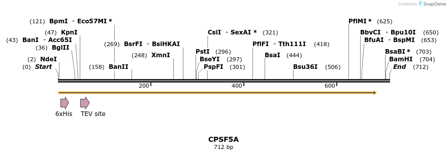 57199_map