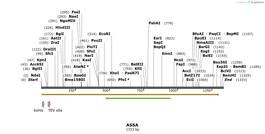 57201_map