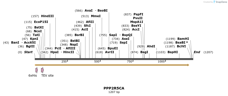 57202_map
