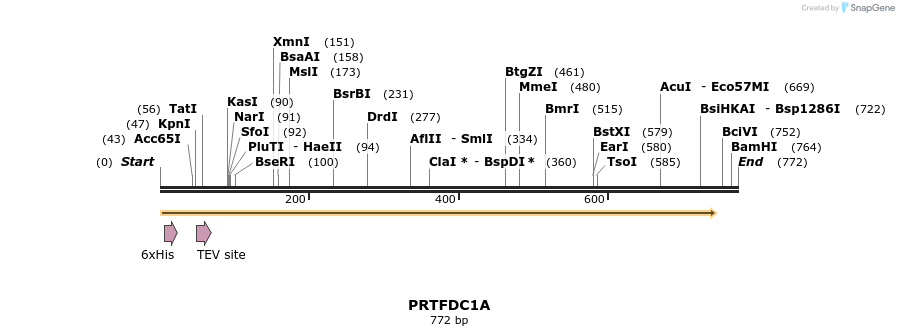 57203_map