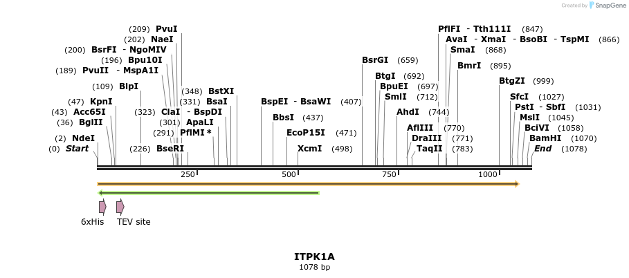 57204_map