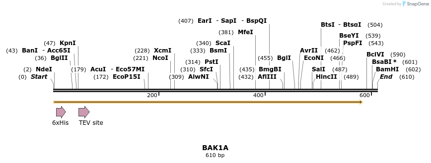 57205_map