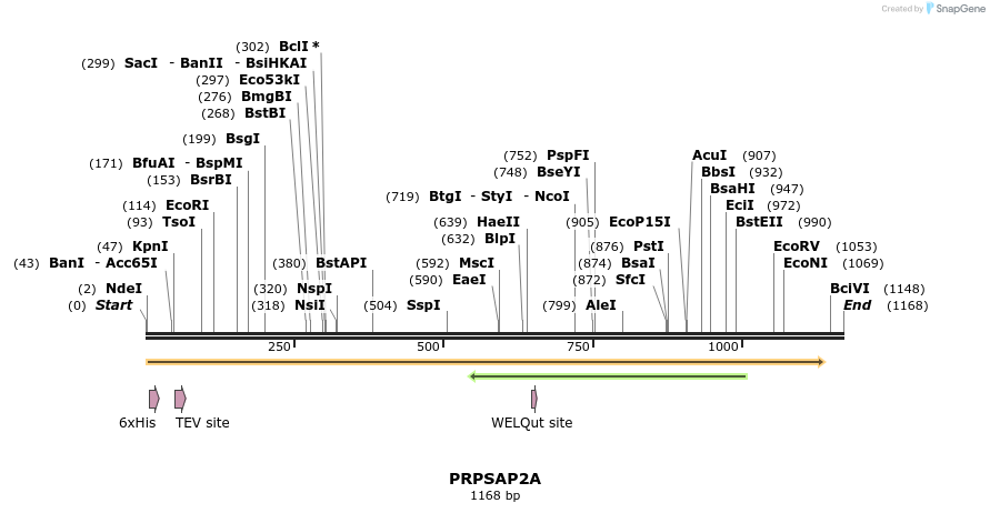 57210_map