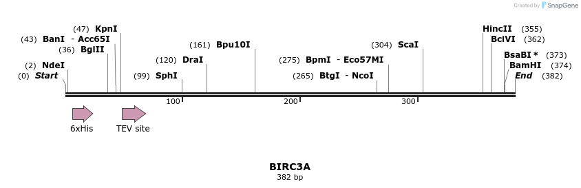 57211_map