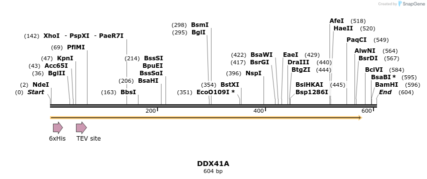 57212_map