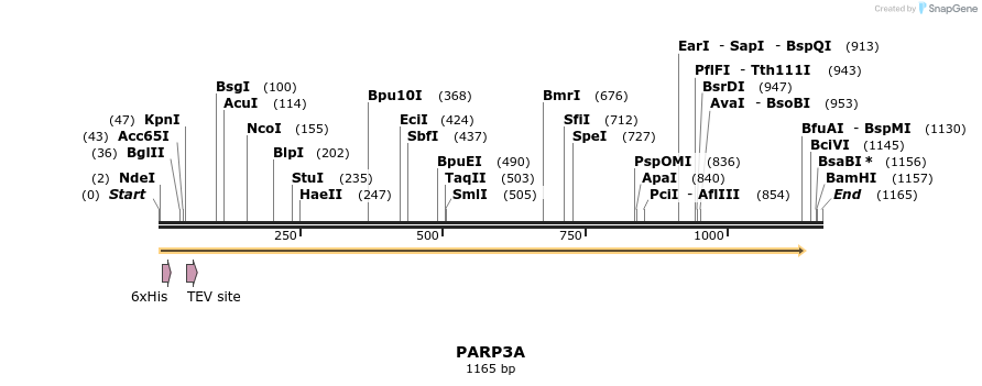 57213_map
