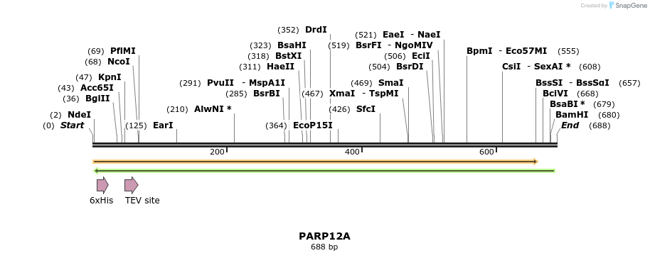 57216_map
