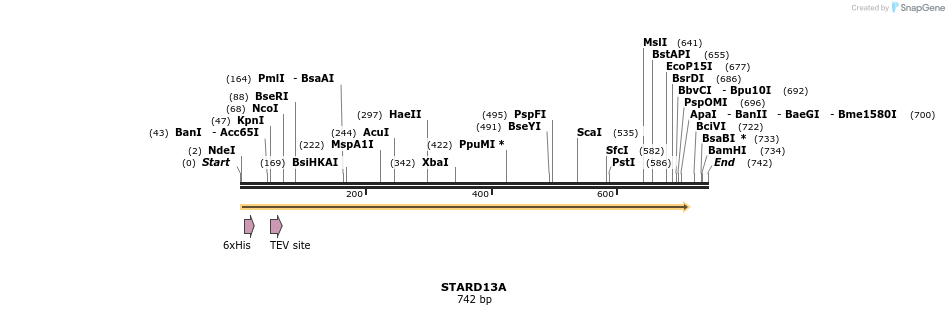 57217_map