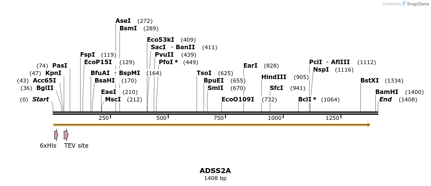 57219_map