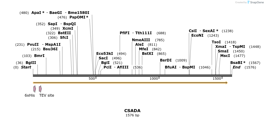 57220_map