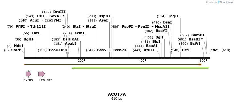 57222_map