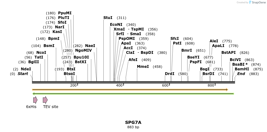 57223_map