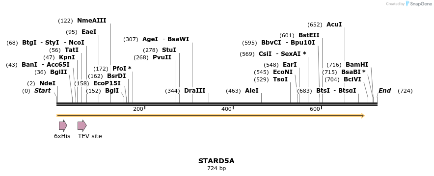 57225_map