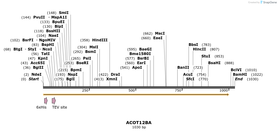 57228_map