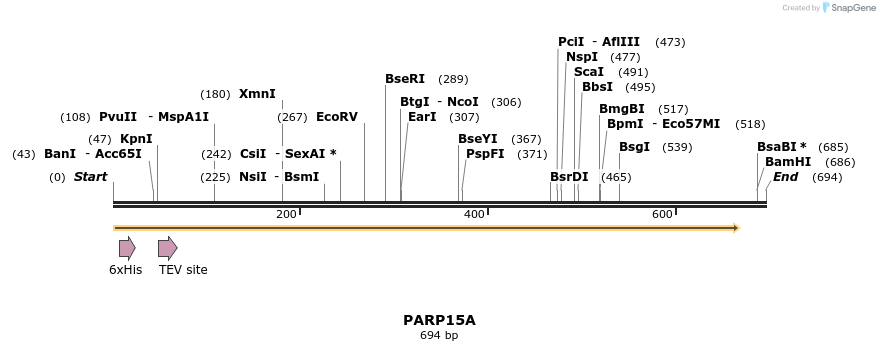 57231_map